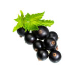 ACUA - Black Currant (Greece)