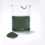 Spirulina scaled 1