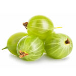 SonderJansen Organic Gooseberry 201004