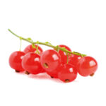 SonderJansen Organic Red Currants 201009