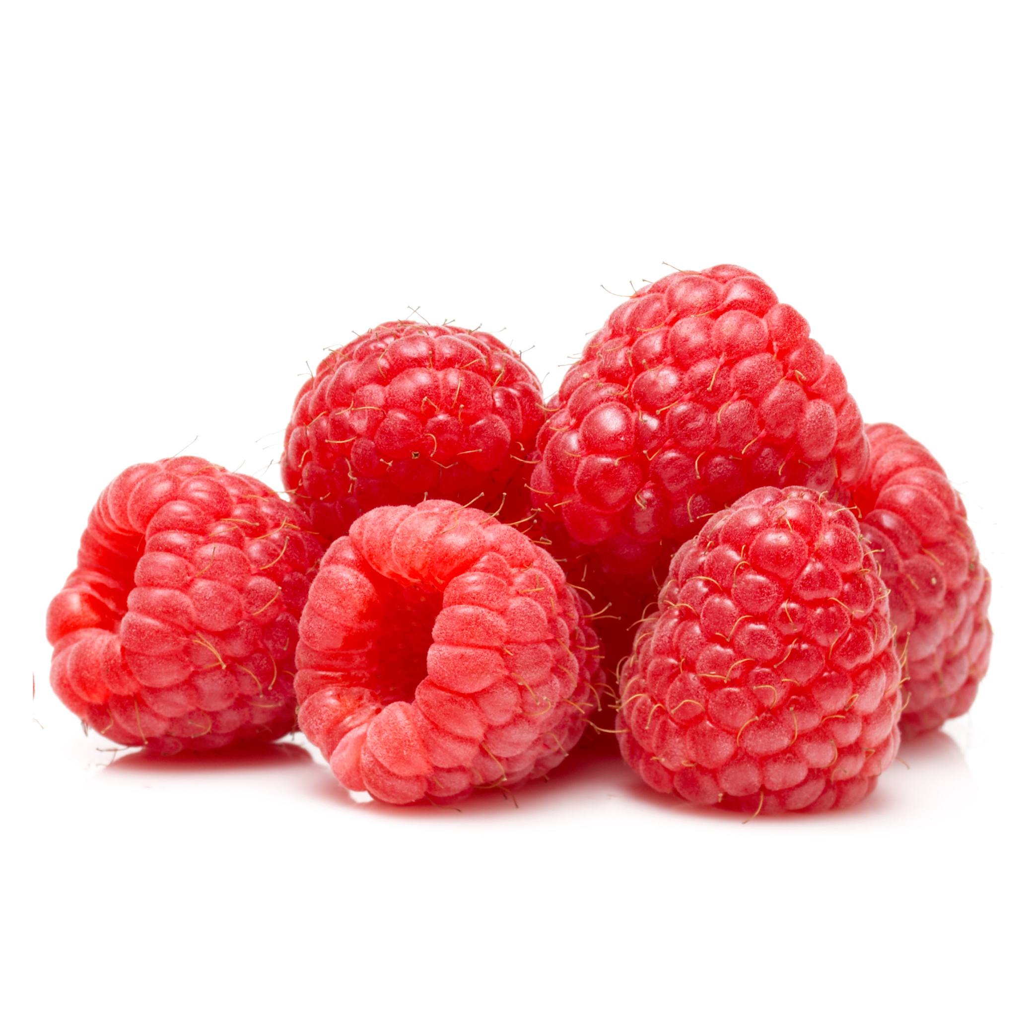 SonderJansen - IQF Frozen Whole Raspberries (Pollana Variety) - 101013 ...