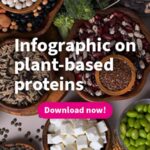 Plant-based proteins infographic