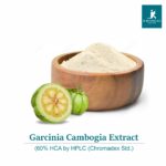 A bowl of Garcinia Extract – Premium ingredient for weight management and appetite control in dietary supplements and functional foods.