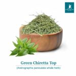 Green Chiretta Top Andrographis paniculata whole herb