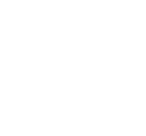 Sustainability series txt 300x280 1
